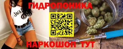 индика Комсомольск-на-Амуре