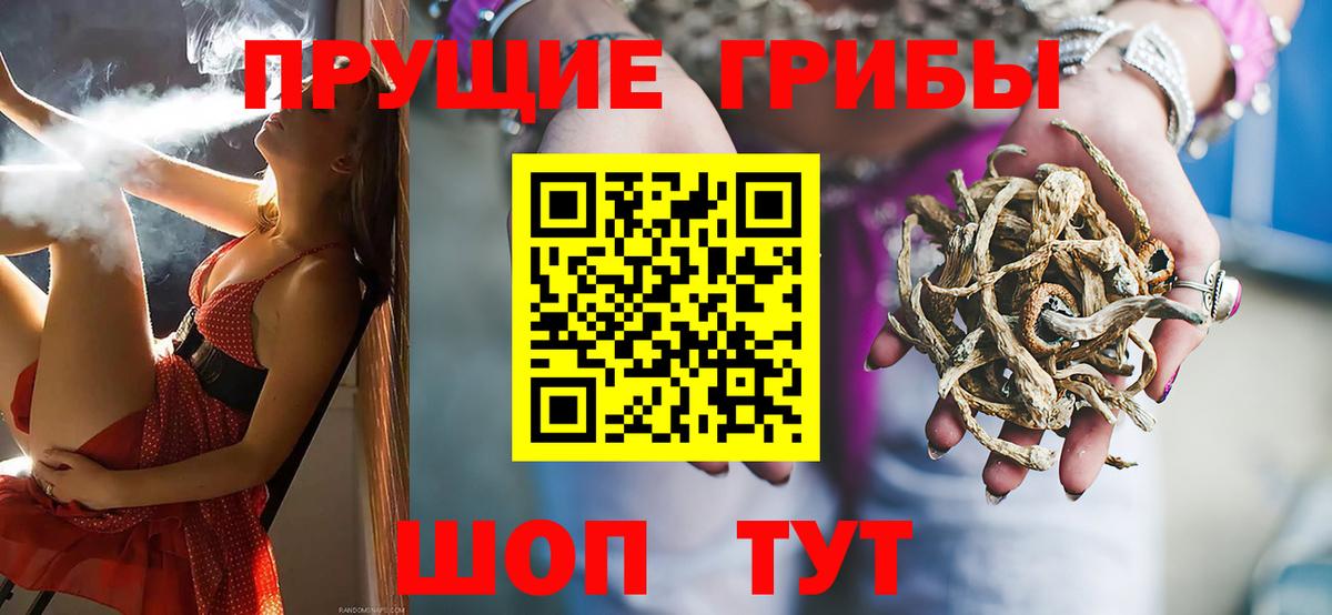 Кизилюрт  Псилоцибиновые грибы Cubensis  Вход с VPN 